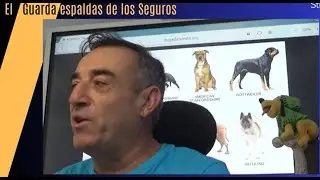 Seguro Perro Peligroso 🐶| Ley de Bienestar Animal | Te cuento como est&aacute;  la cosa 🤔💡😲📚📰💭