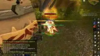 Crusader Strike