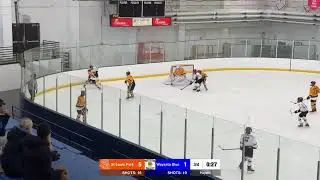 St Louis Park Peewee B1 VS Wayzata Blue