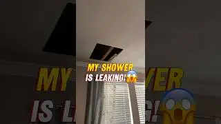 My Shower is Leaking! Hole in Ceiling😱 #bathroom #bathroommakeover
