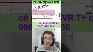 GVR &ndash; Cổ Phiếu chỉnh l&agrave; m&uacute;c- tiềm năng năm 2025