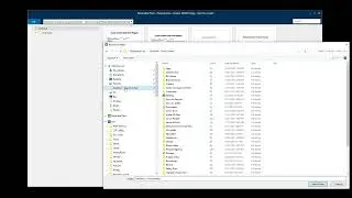 Niclabel - Using Nicelabel Print Only application