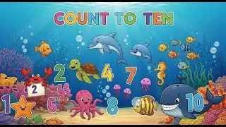 Ocean Friends Count to Ten | Animagic Studio