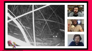 Wildife Biologist Reviews Neil Waters Thylacine Photo Evidence Part 2