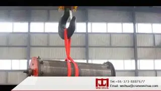 Weihua Overhead Crane and Gantry Crane with Anti-Sway System