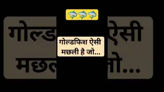 ऐसी भी मछली होती है???? #top #amazingfacts #goldfish @Atultripathi_1M #newsong  #aasong 🦈🦈🦈