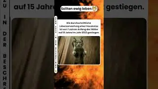 Endlich gute Nachrichten! Katzen leben jetzt im Schnitt 15 Jahre! 😻