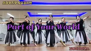 Part of Your World  LineDance 