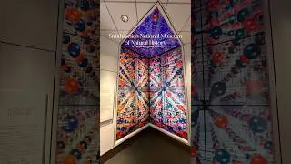 Natural History #shorts #feed #feedshorts #viralshorts #usa #usashorts #trending #subscribe #travel