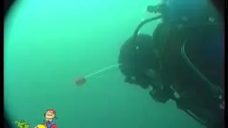 Durley Chine reef - part 1