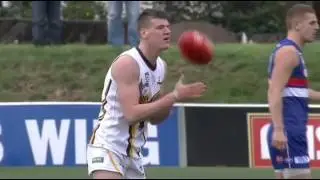 Round 14 vs Footscray Highlights