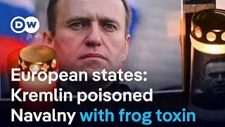 Russian opposition figure Alexei Navalny poisoned with toxin found in poison dart frogs |&nbsp;DW News