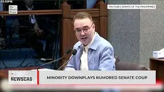 Меньшинство преуменьшает значение слухов о государственном перевороте в Сенате.