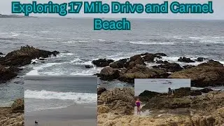 Exploring 17 Mile Drive and Carmel Beach