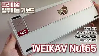 겨울잠 자는 다람쥐 도토리 훔쳐다 만들어서 질문 못받는다 WEIKAV Nut65