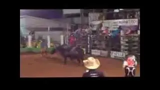 boiada du nereu expona