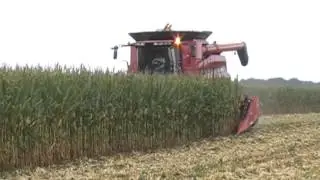 Case IH 8230 Axial-Flow Combine