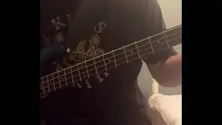 Junkhead bass only.   Spector Legend