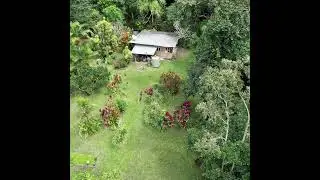 597 Bloomfield Rd Rossville Qld 4895 #rainforest  #cooktown #realestate
