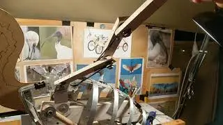 Ibis mechanical wing - bin chicken chariot project West End Kurilpa Derby 2018
