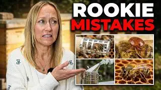 10 BEEKEEPING MISTAKES to Avoid Your First Year