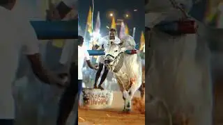 Dheera | DVR Memorial | Kanuru | Vijayawada