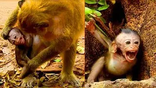 Cry Seizing & Hugging The Tree, Dana Hit Baby Daniela & Weaning, Baby Reaching Leg Hard, Cry Hard