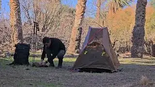 Night Cat Ultralight: Tent 1 Person Waterproof Lightweight for Camping Trekking Hike