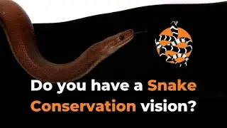 Do You Have a Snake Conservation Vision?
