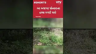 Anand News: 6 ફૂટ લાંબા અજગરને જોઈ, આંખો ફાટી જશે.!, આણંદનાં બેડવા ગામનો ડરાવી મૂકે તેવો VIDEO