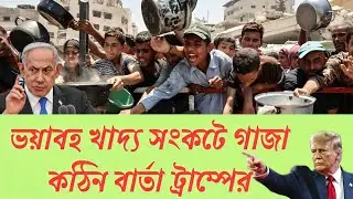 গাজায় ইসরায়েলি হামলায় ৮০ নিহত, অনাহারে ১৪ জনের মৃত্যু | Gaza Crisis | #helpgaza nobodiganta news