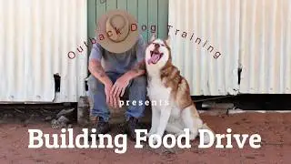 Building Food Drive