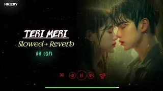 Teri Meri (Slowed + Reverb) Song || Lofi Song || Hindi Romantic Lofi Song || RH LOFI