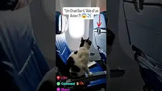 prt2 