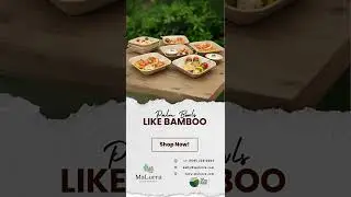 Sustainable Serving &ndash; Palm Leaf Square Bowls Like Bamboo, Direct and Straight from CA & NJ
