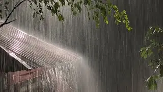 Gentle Night RAIN - Rain Sounds For Sleeping - Heavy Rain for Better Sleep and Relaxation - ASMR
