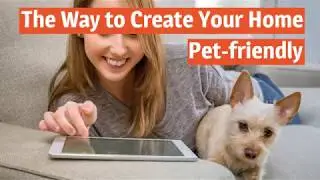 The Way to Create Your Home Pet-friendly