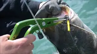 Zeck fishing unhooking pliers