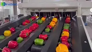 bell pepper sorting machine; tomatoes sorting machine; potatoes sorting machine;