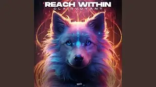 Reach Within