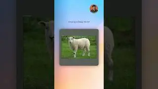 Convert Real Animals into Simple Vector Icons🐑