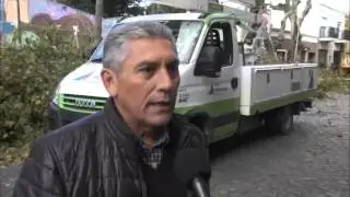 Comenz&oacute; la temporada de Poda Integral 2016 en San Fernando