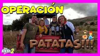 ¡¡NOS VAMOS DE AVENTURA RURAL!! Recolectamos PATATAS en FAMILIA