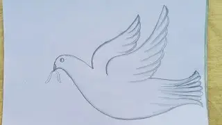 कबूतर का चित्र बनाना सीखे/how to draw pigeon drawing easy/step by step pigeon and drawing banana art