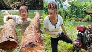 Agricultural vehicle transporting wood, girl's wood loading and unloading skills