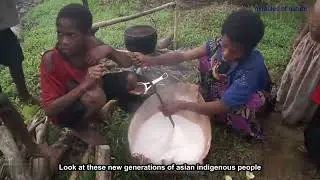 Exploring Arecaceae: The Tree with the World&rsquo;s Largest Seed and Incredible Survival Skills.