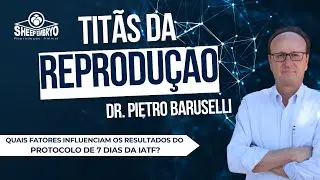 Quais fatores influenciam os resultados do protocolo de 7 dias da IATF?