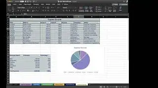 595-Excel Project