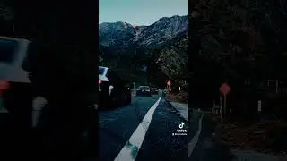 🎥 Fast and Furious Vibes