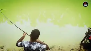how to catch fishing videos-best fishing catch use fishing rod\ amazing  fishing videos